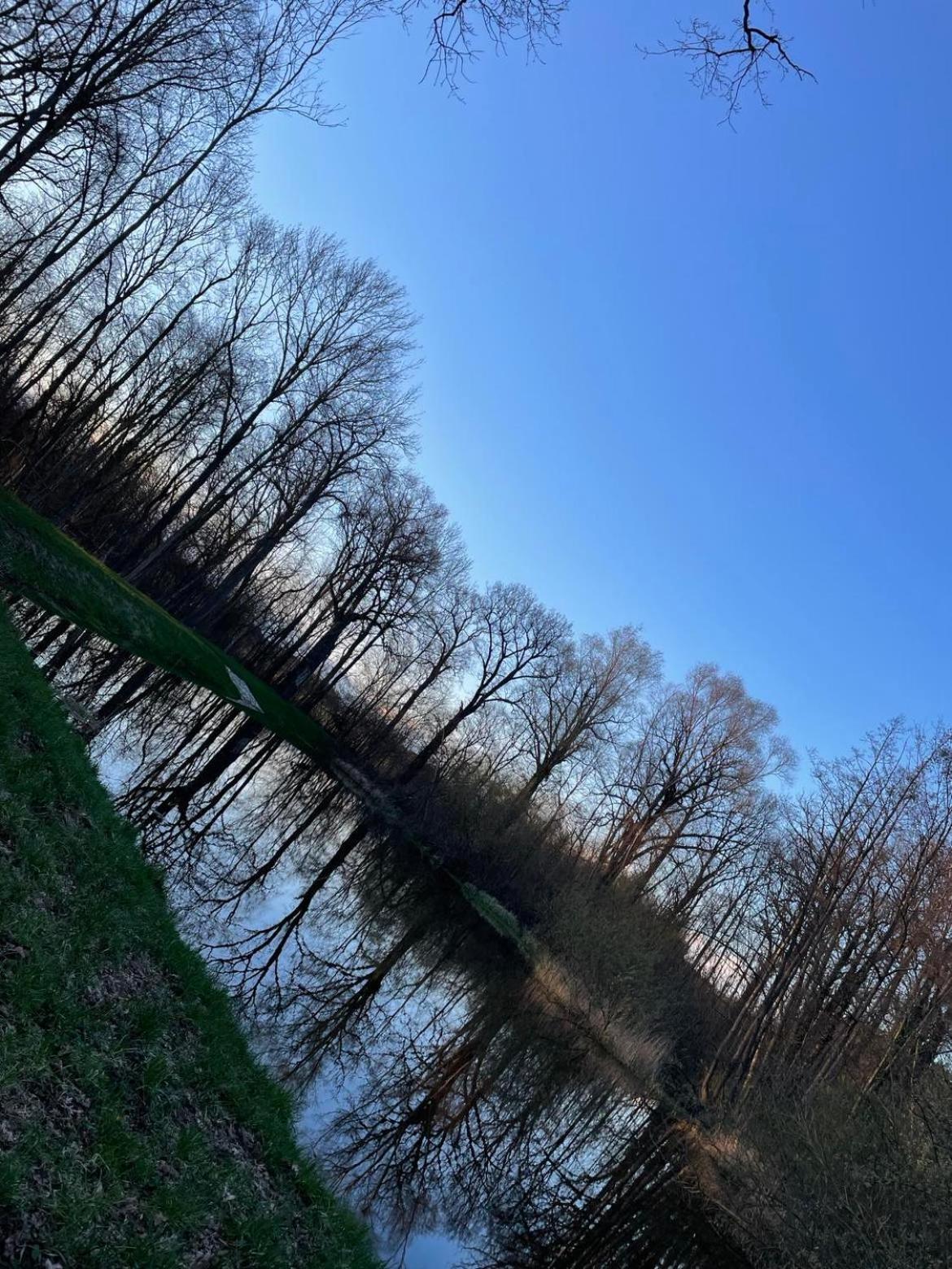 Domki Pod Debami Mojecice Exteriér fotografie
