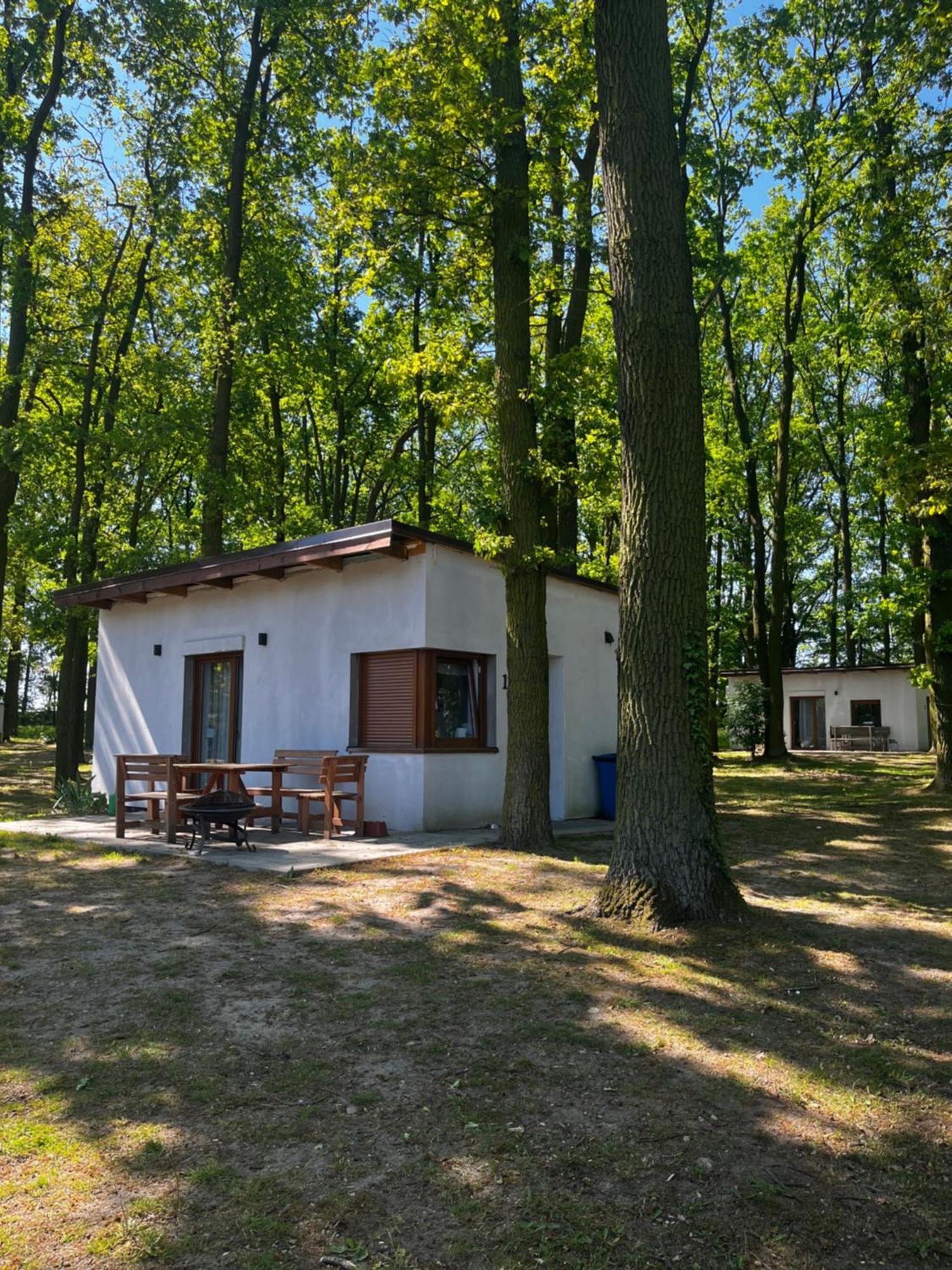 Domki Pod Debami Mojecice Exteriér fotografie
