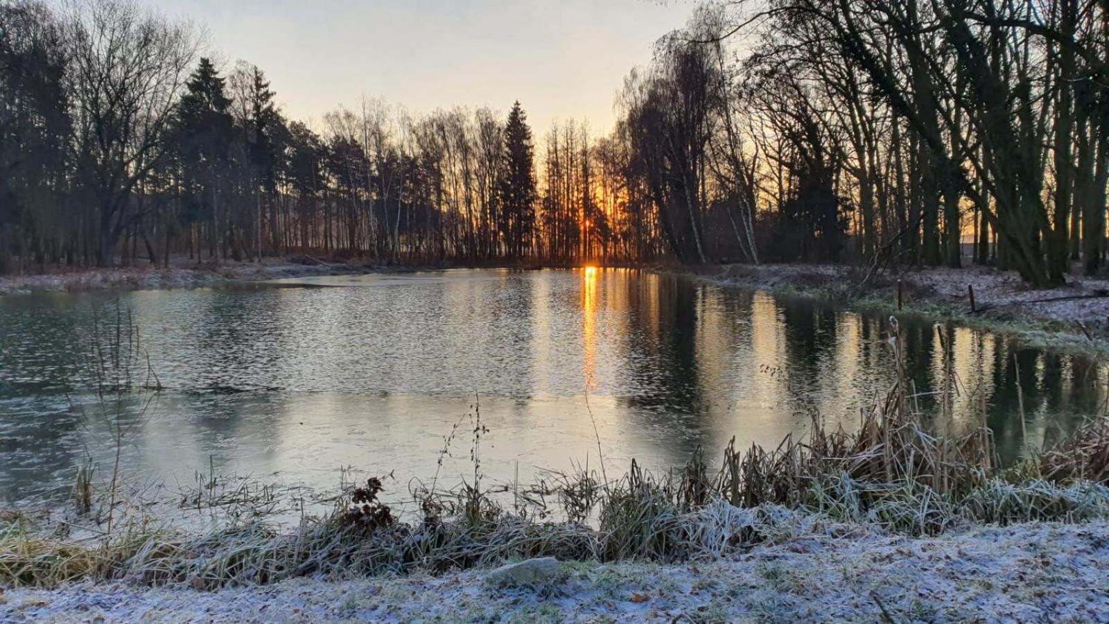 Domki Pod Debami Mojecice Exteriér fotografie