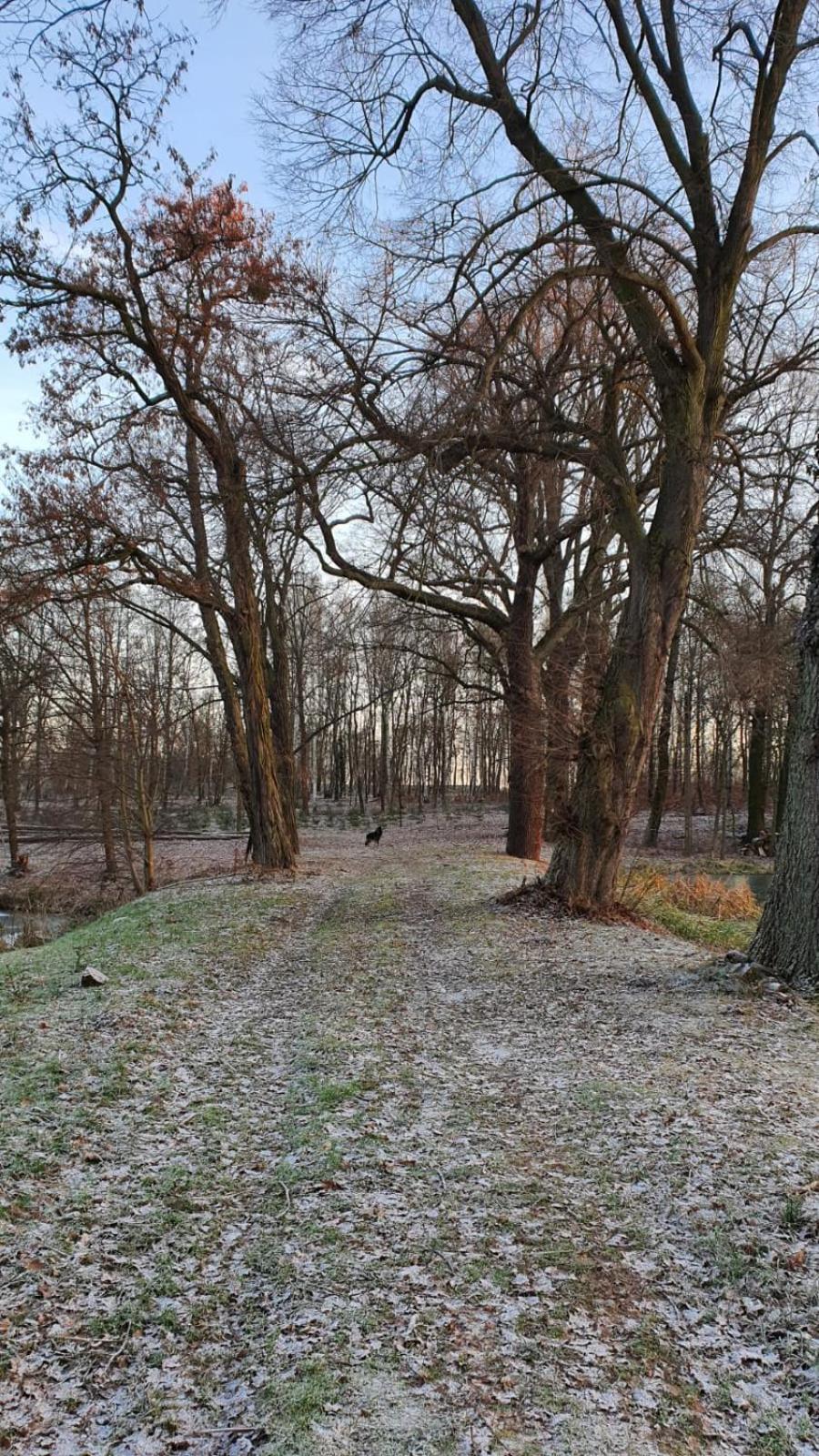 Domki Pod Debami Mojecice Exteriér fotografie